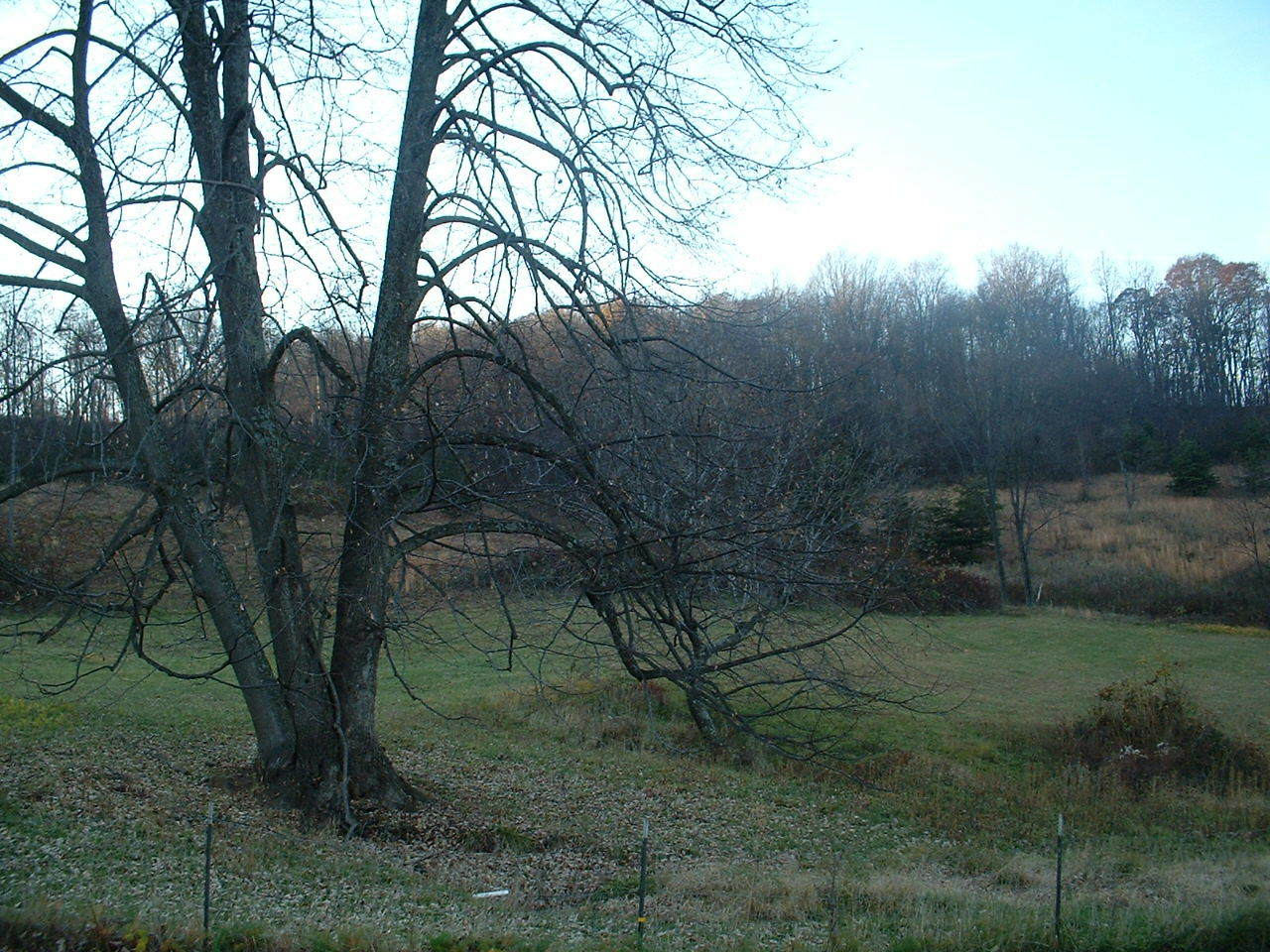 0 Jeters Ridge Road Vinton, VA 24179 - Photo 1 of 3 27acres
