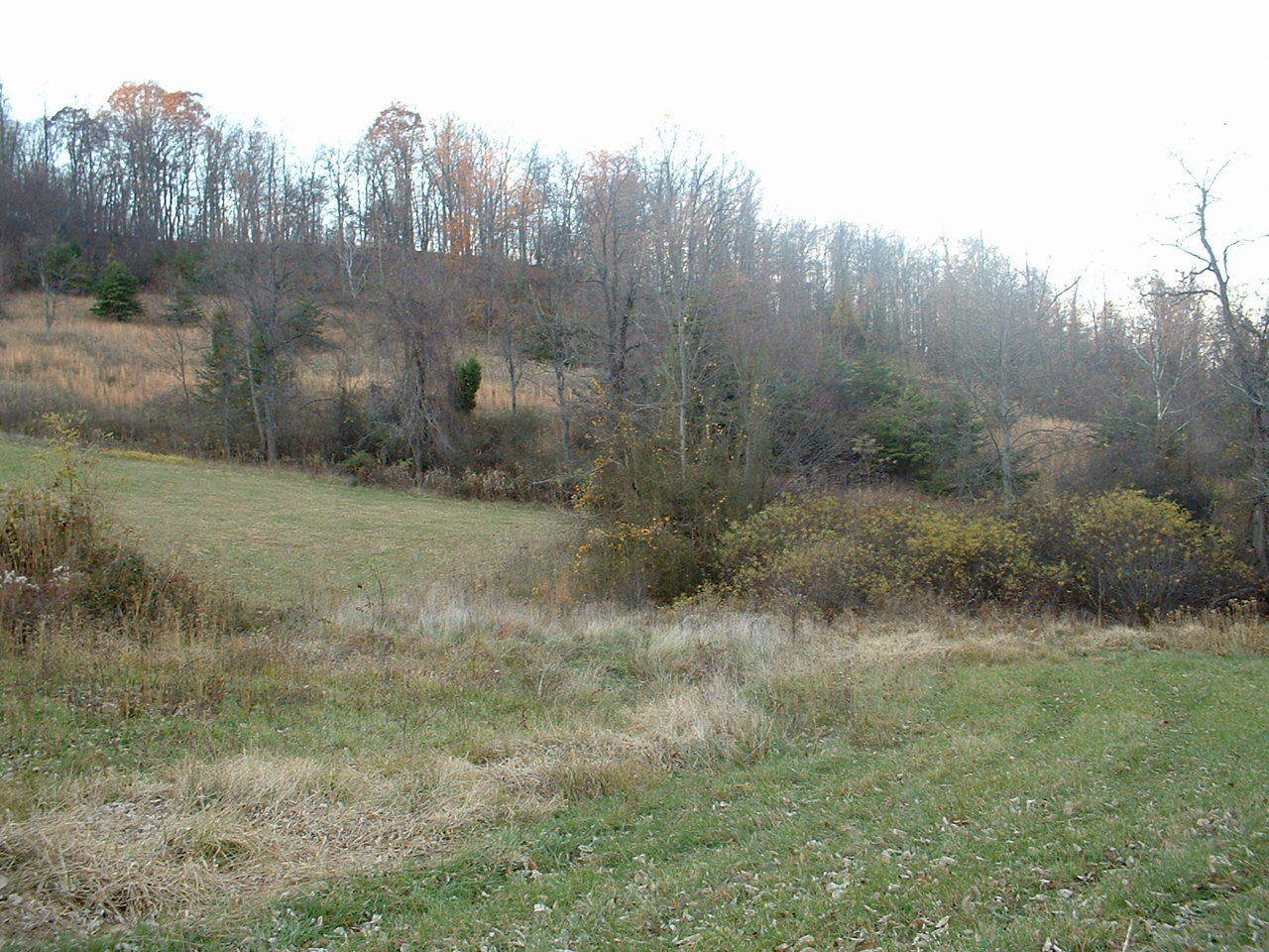 0 Jeters Ridge Road Vinton, VA 24179 - Photo 2 of 3 27acres2