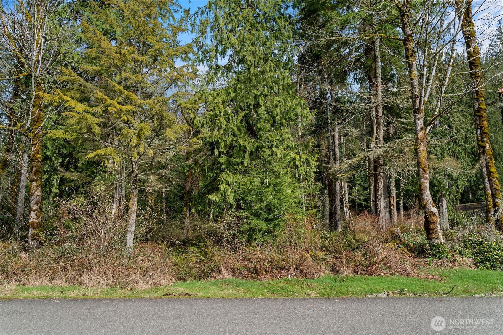 27117 Grand Ridge Drive Issaquah, WA 98029 - Photo 12 of 29