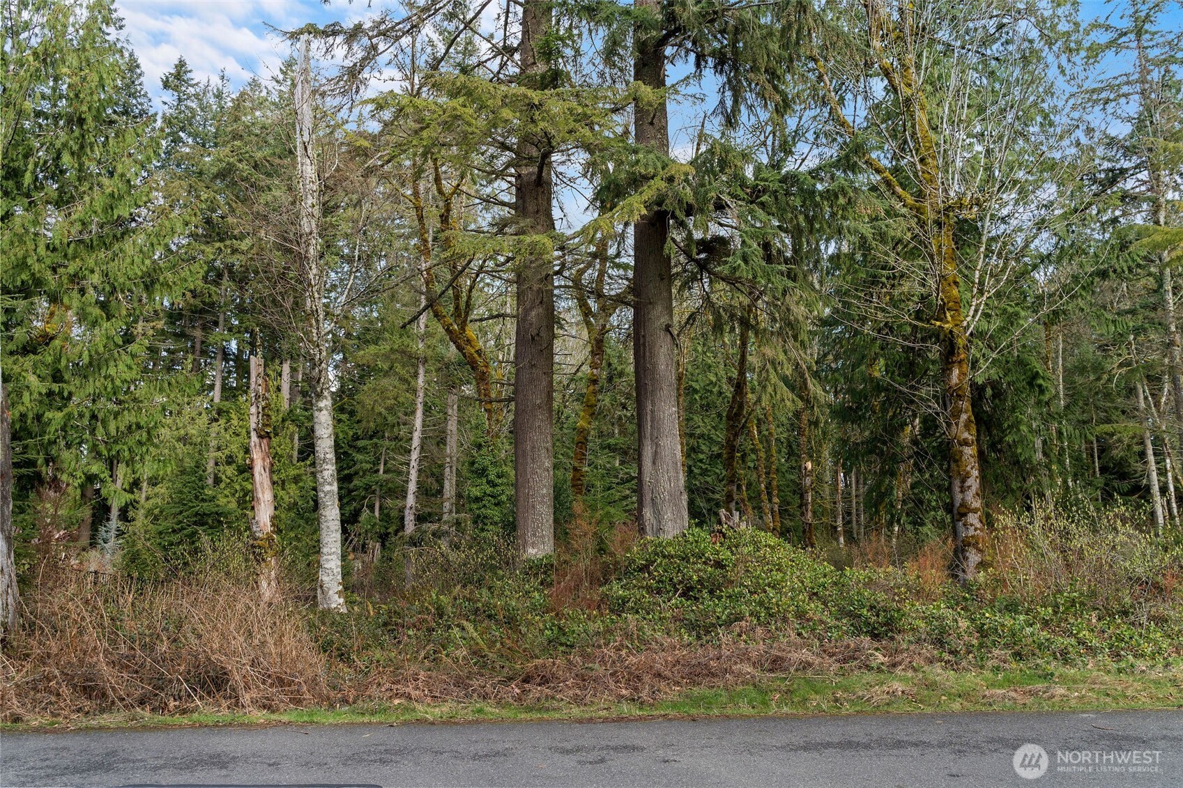 27117 Grand Ridge Drive Issaquah, WA 98029 - Photo 10 of 29