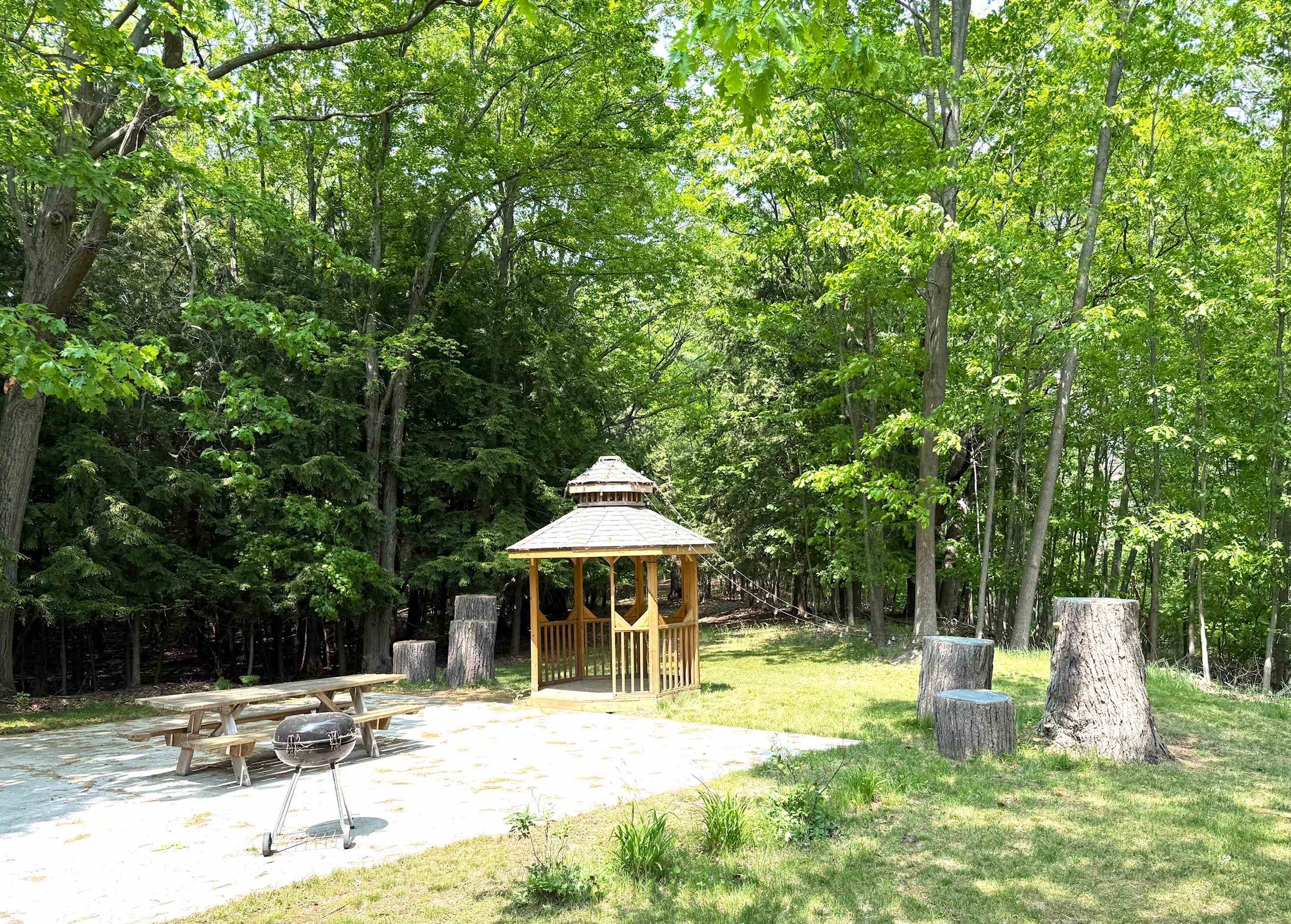 2250 Dryer Road Standish, MI 48658 - Photo 27 of 42 Gallery Image 27