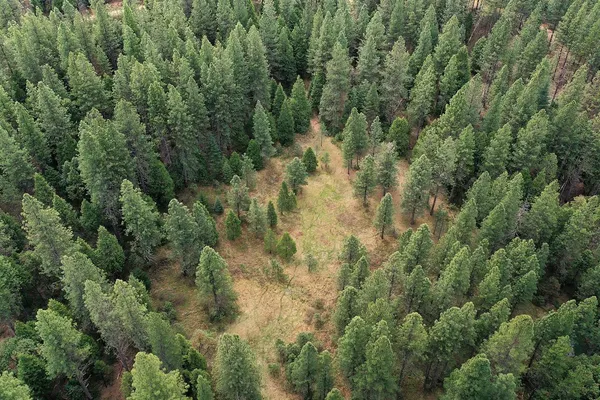 an aerial view of residential houses with outdoor space and trees