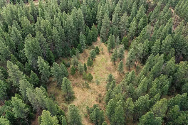 an aerial view of residential houses with outdoor space and trees
