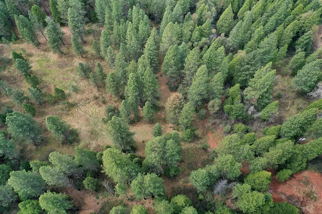 a view of outdoor space with a garden