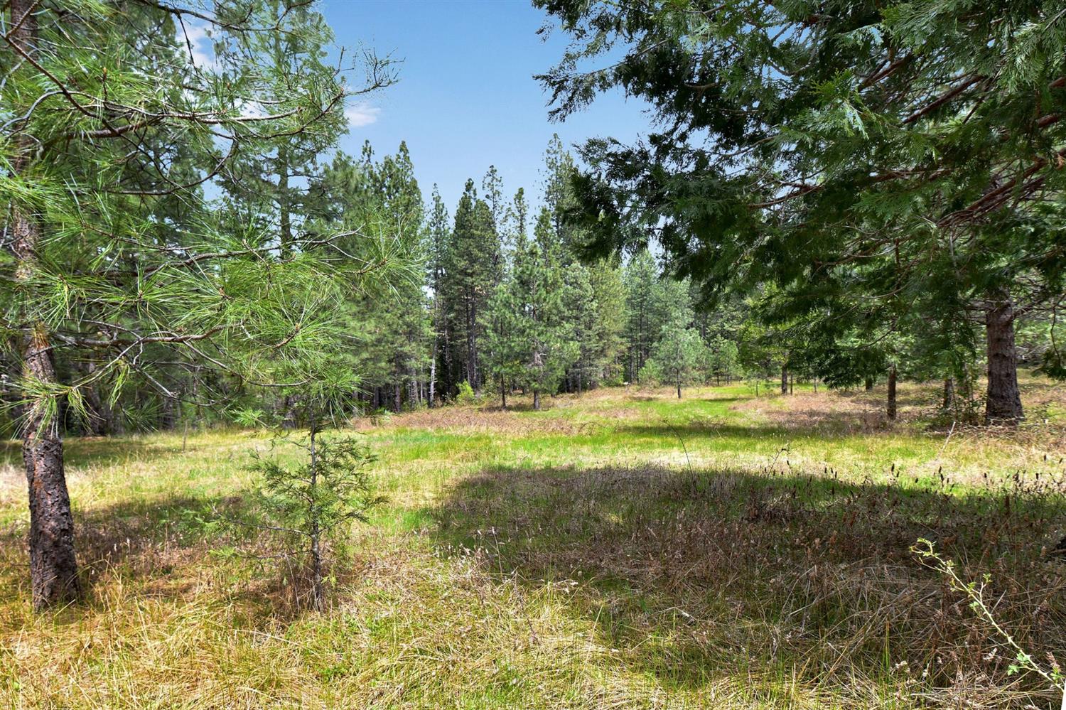 13824 Baker Road Camptonville, CA 95922 - Photo 19 of 28