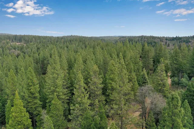 a view of outdoor space with trees