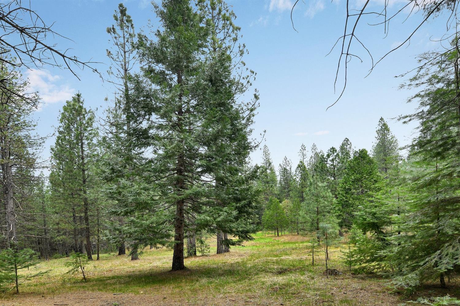 13824 Baker Road Camptonville, CA 95922 - Photo 5 of 28