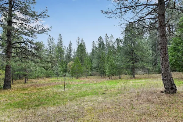 a view of outdoor space with trees