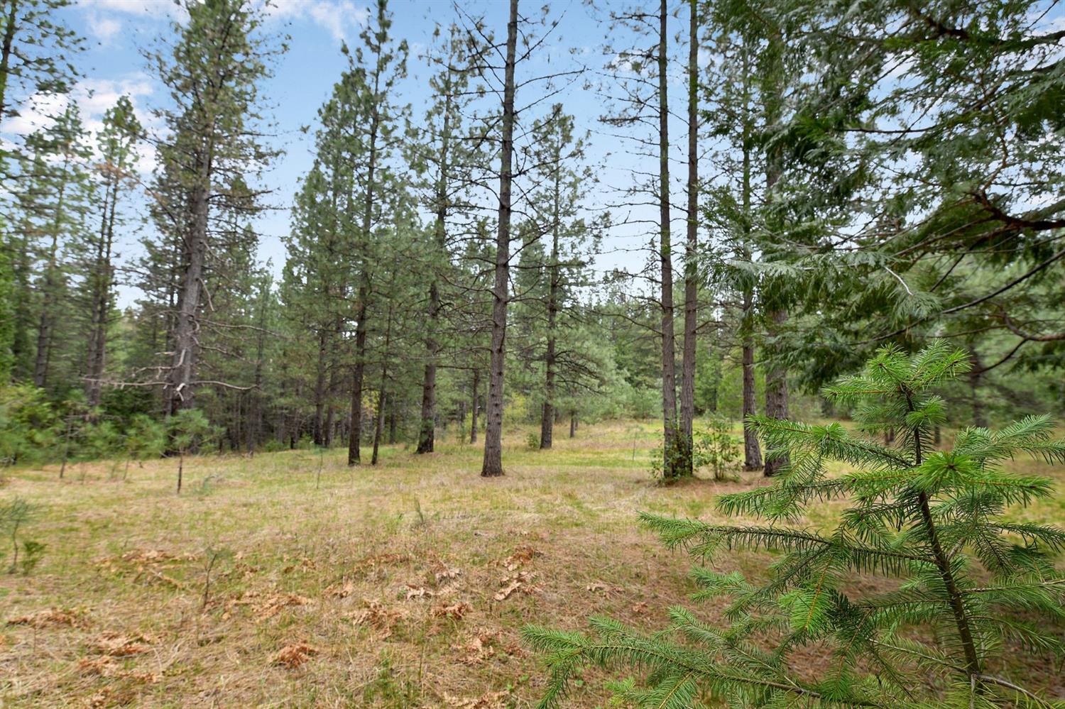 13824 Baker Road Camptonville, CA 95922 - Photo 7 of 28