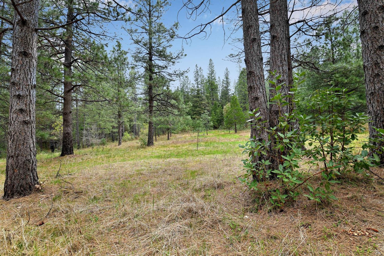 13824 Baker Road Camptonville, CA 95922 - Photo 9 of 28