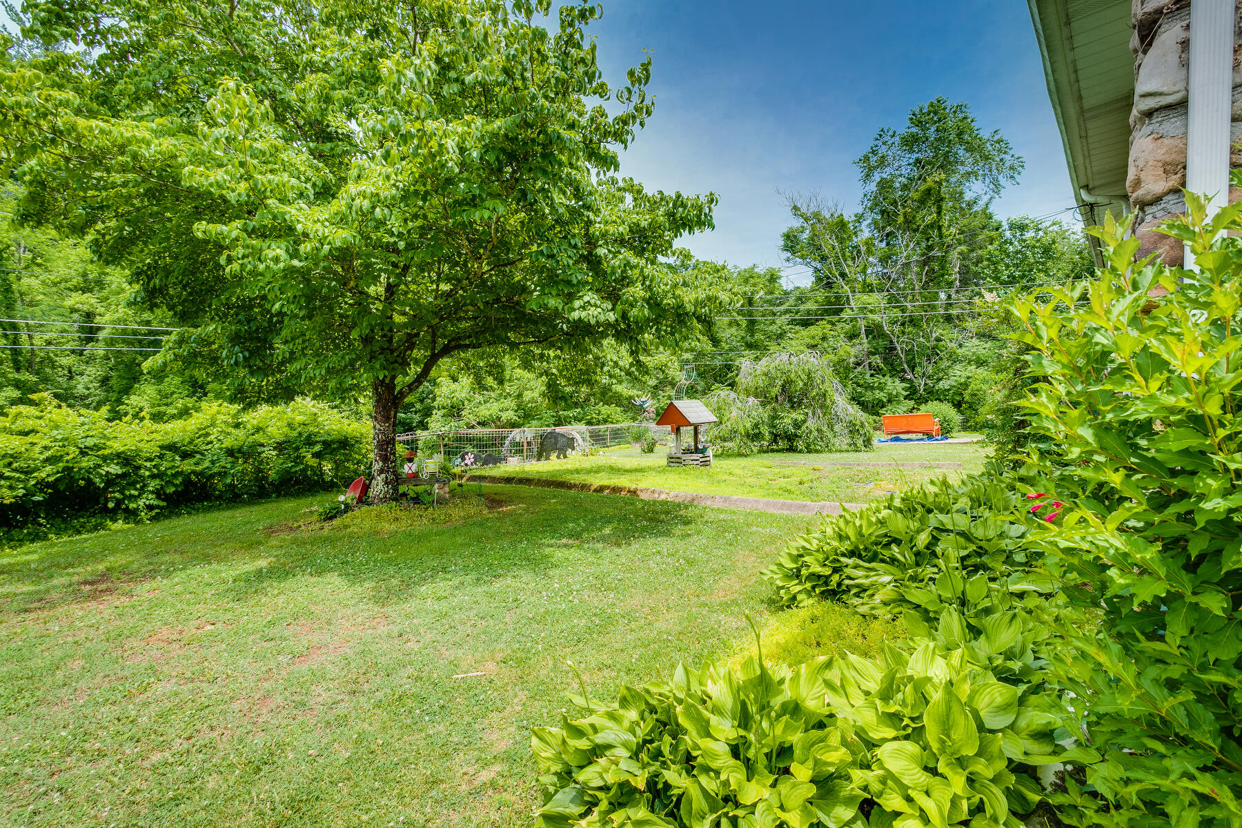388 Odom Branch Road Erwin, TN 37650 - Photo 64 of 71 053
