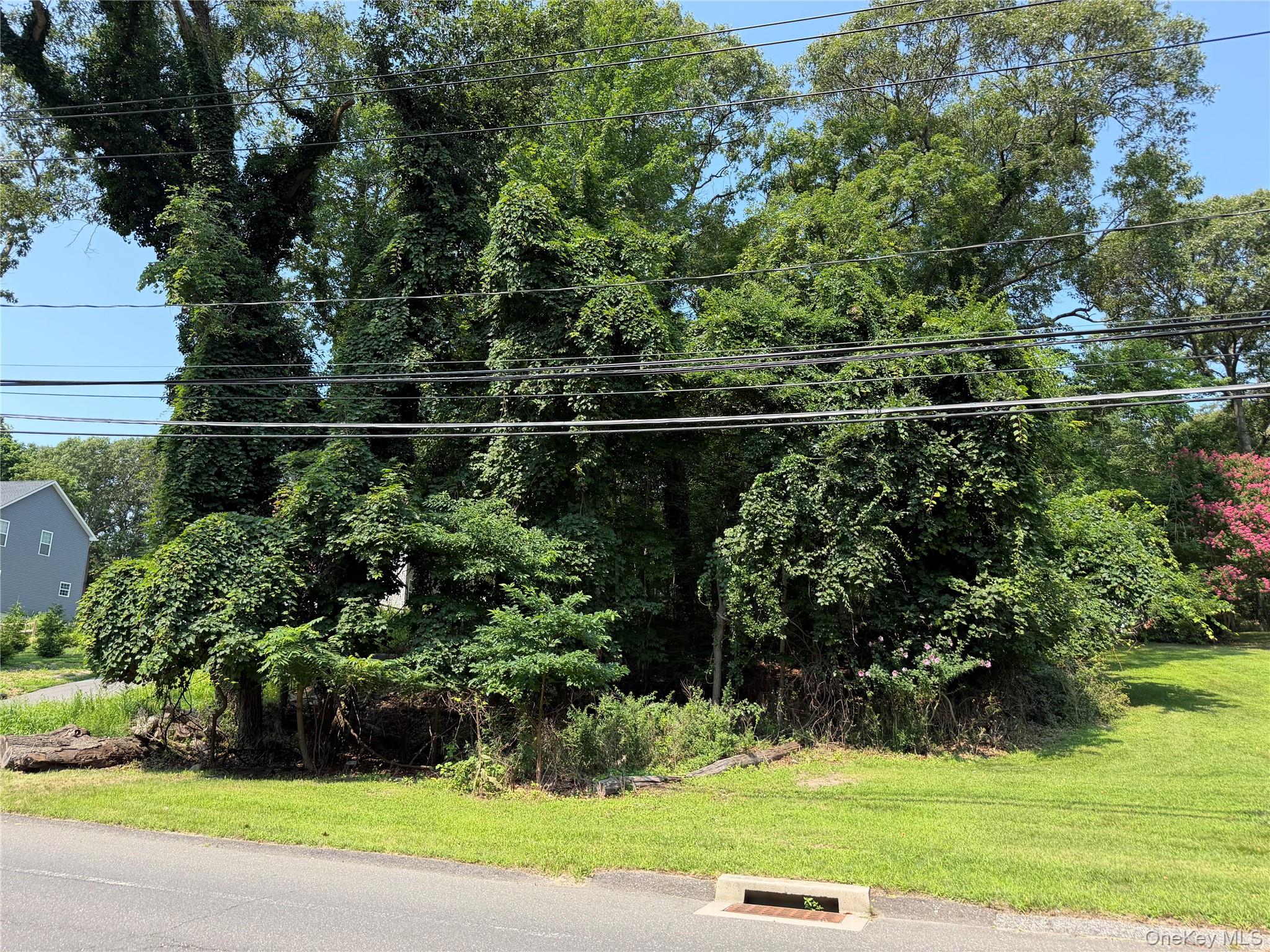 0 Hallock Landing Road Rocky Point, NY 11778 - Photo 1 of 2 Gallery Image 1