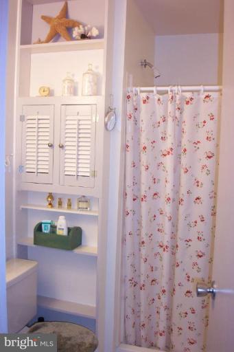 1813 Ivy Oak Square, Unit 59 Reston, VA 20190 - Photo 11 of 19 Master Bath