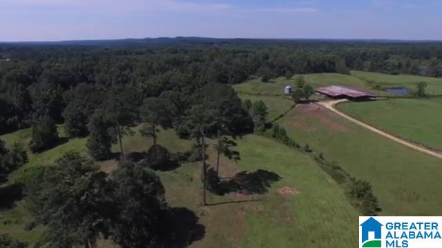 1854 Claud Fleahop Road, Unit 129 4 Eclectic, AL 36024 - Photo 13 of 50
