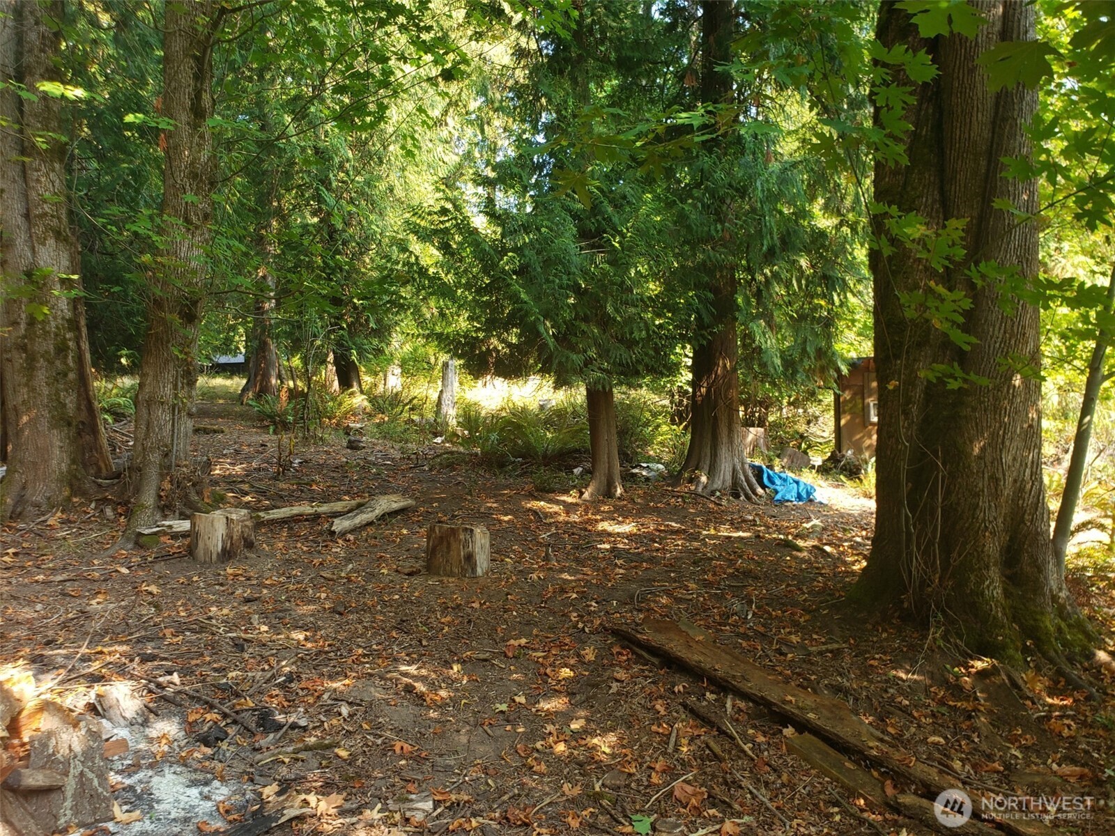 2962 Laurel Road Longview, WA 98632 - Photo 29 of 31 Gallery Image 29