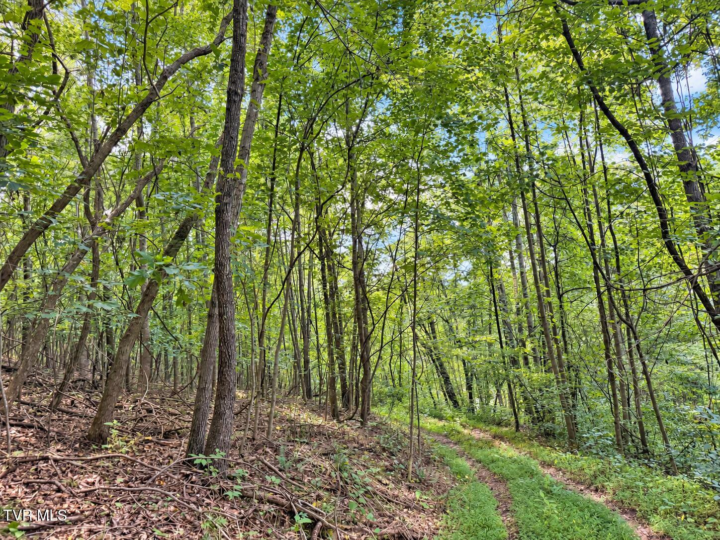 1859 Luray Road Gate City, VA 24251 - Photo 18 of 29 ChatGPT Image Sep 8, 2026, 11_09_02 AM (
