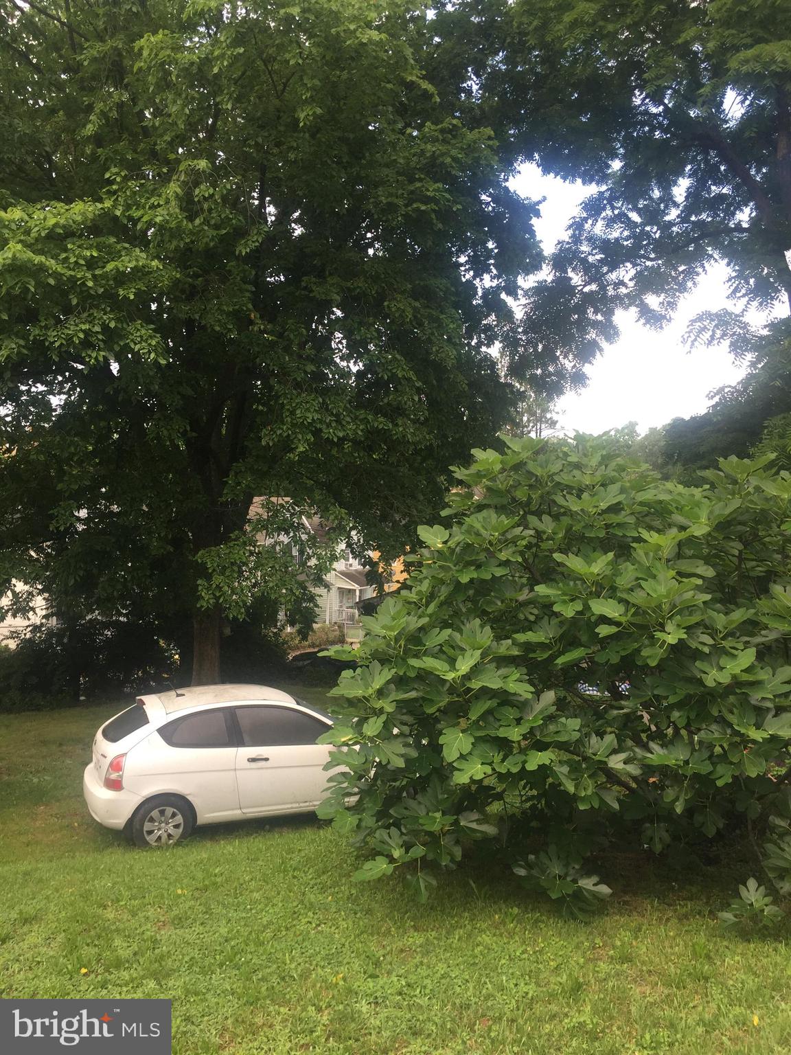 2906 25th Street Northeast Washington, DC 20018 - Photo 13 of 40 a view of a white house with a yard and large trees