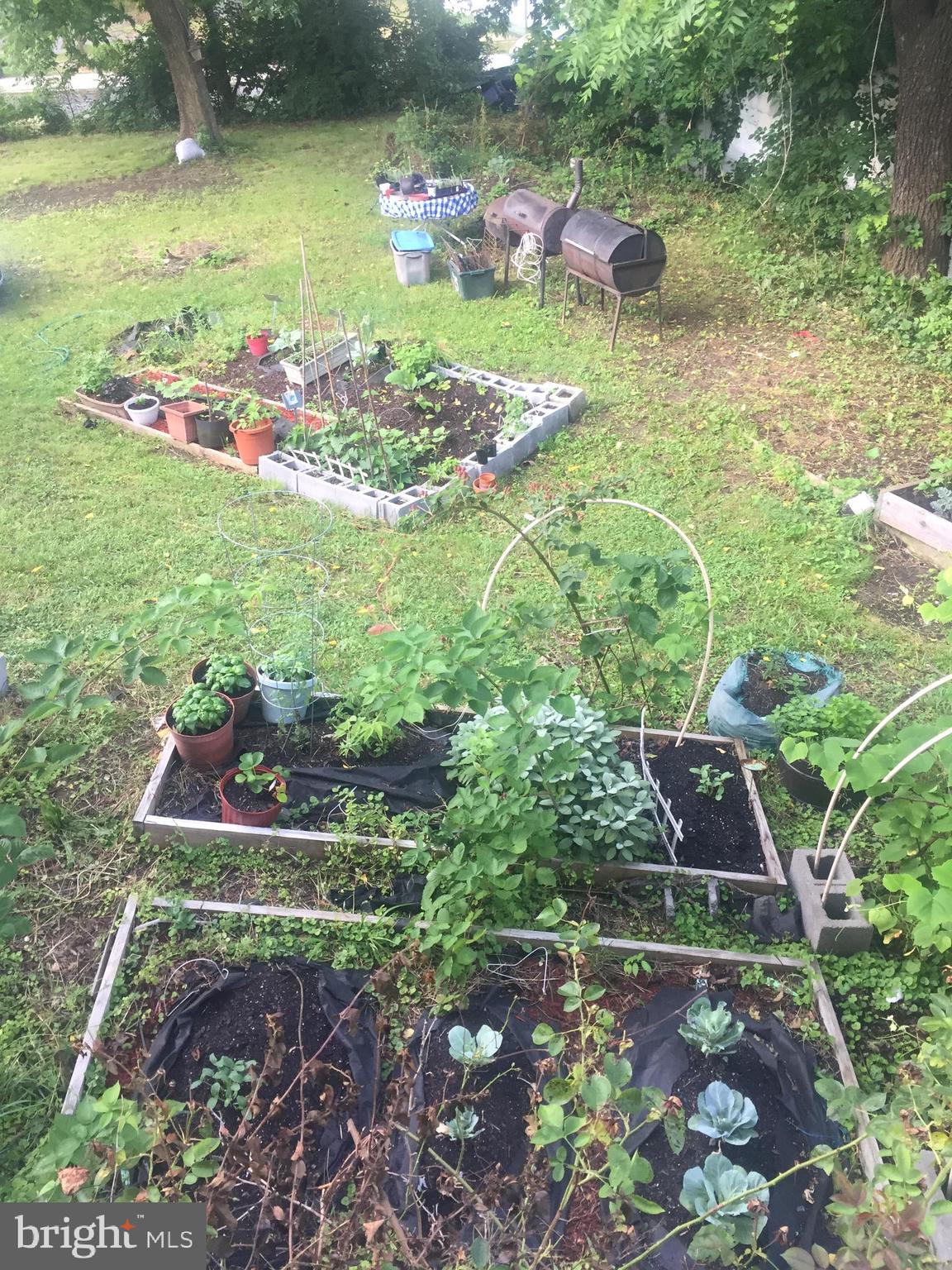 2906 25th Street Northeast Washington, DC 20018 - Photo 5 of 40