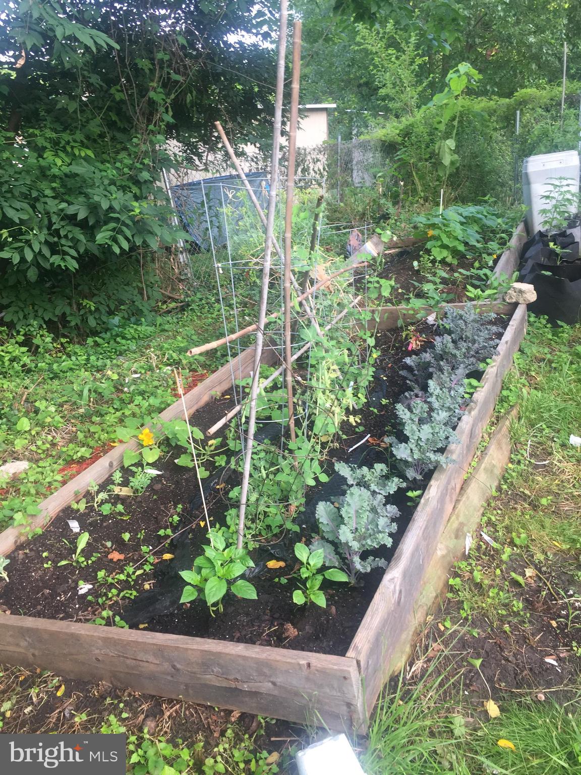 2906 25th Street Northeast Washington, DC 20018 - Photo 9 of 40 a view of a yard with plants and a bench