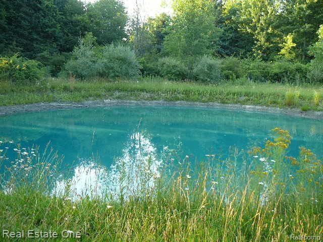1685 South Allen Road St. Clair, MI 48079 - Photo 12 of 12 P1110862