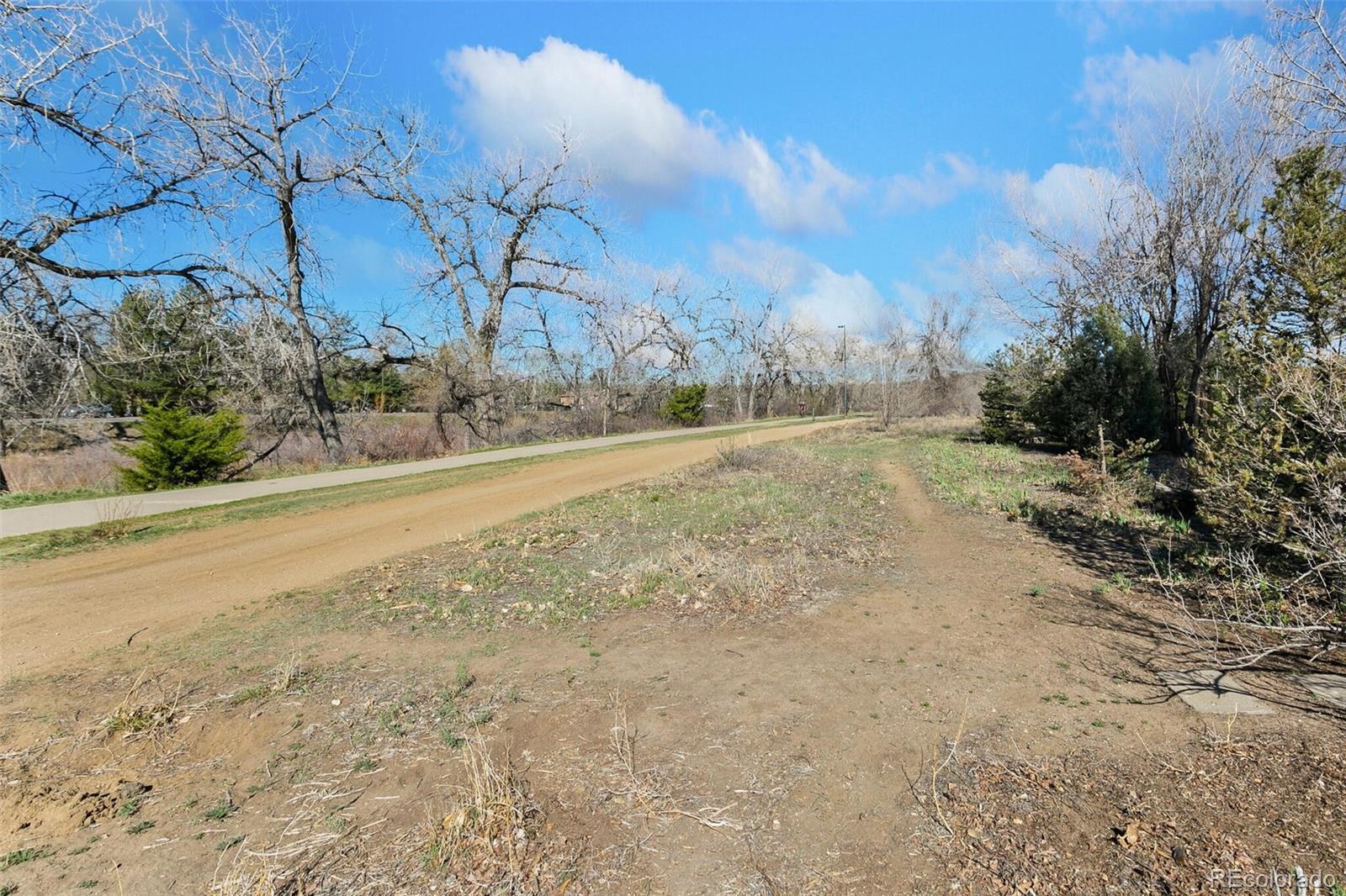 5500 Vale Drive Denver, CO 80246 - Photo 35 of 40 a view of dirt yard with large trees
