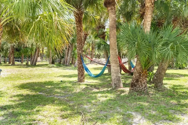 a view of a backyard with table and chairs potted plants and palm tree