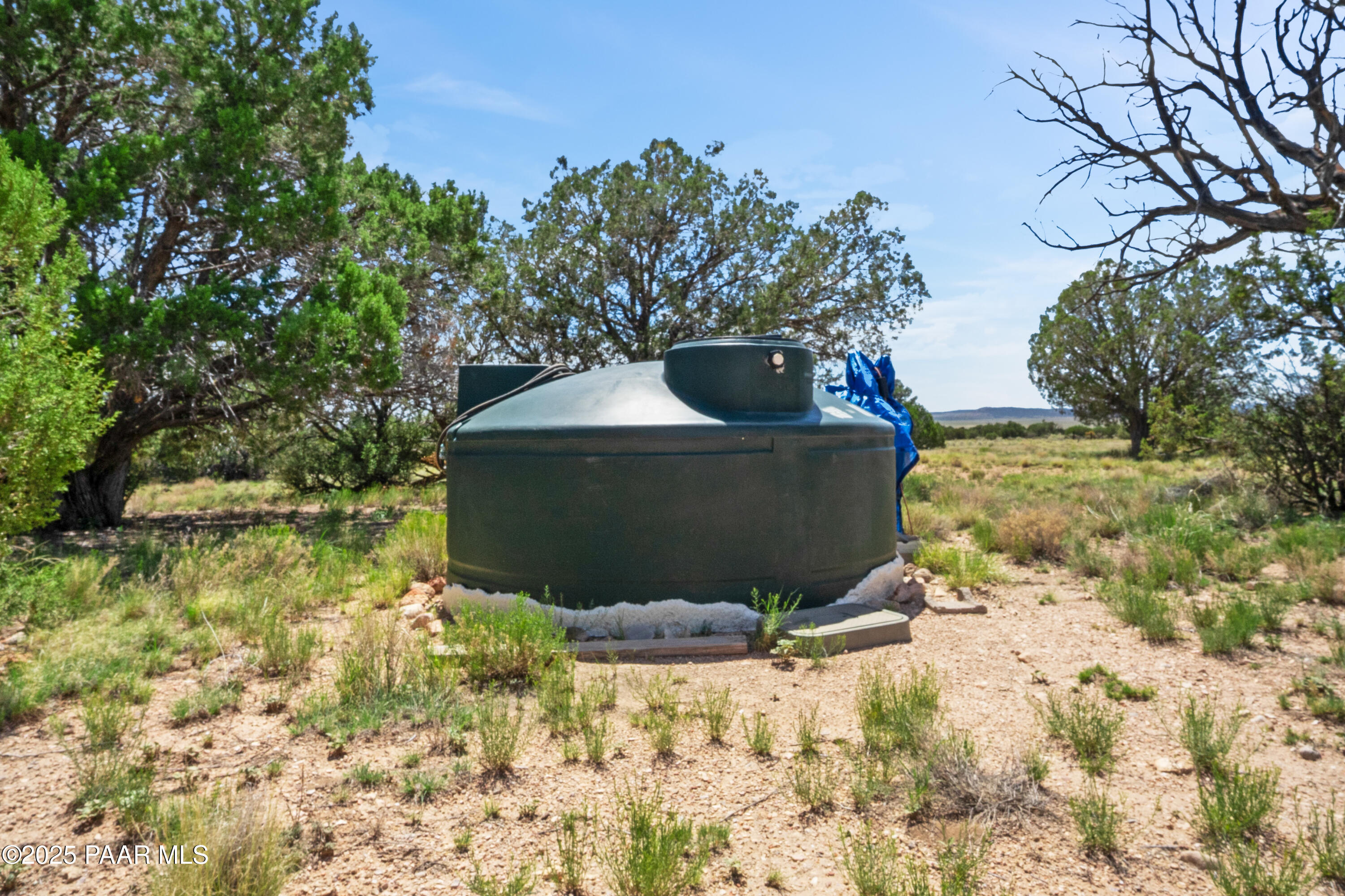 37500 Bullet Road Seligman, AZ 86337 - Photo 22 of 37 NK202142