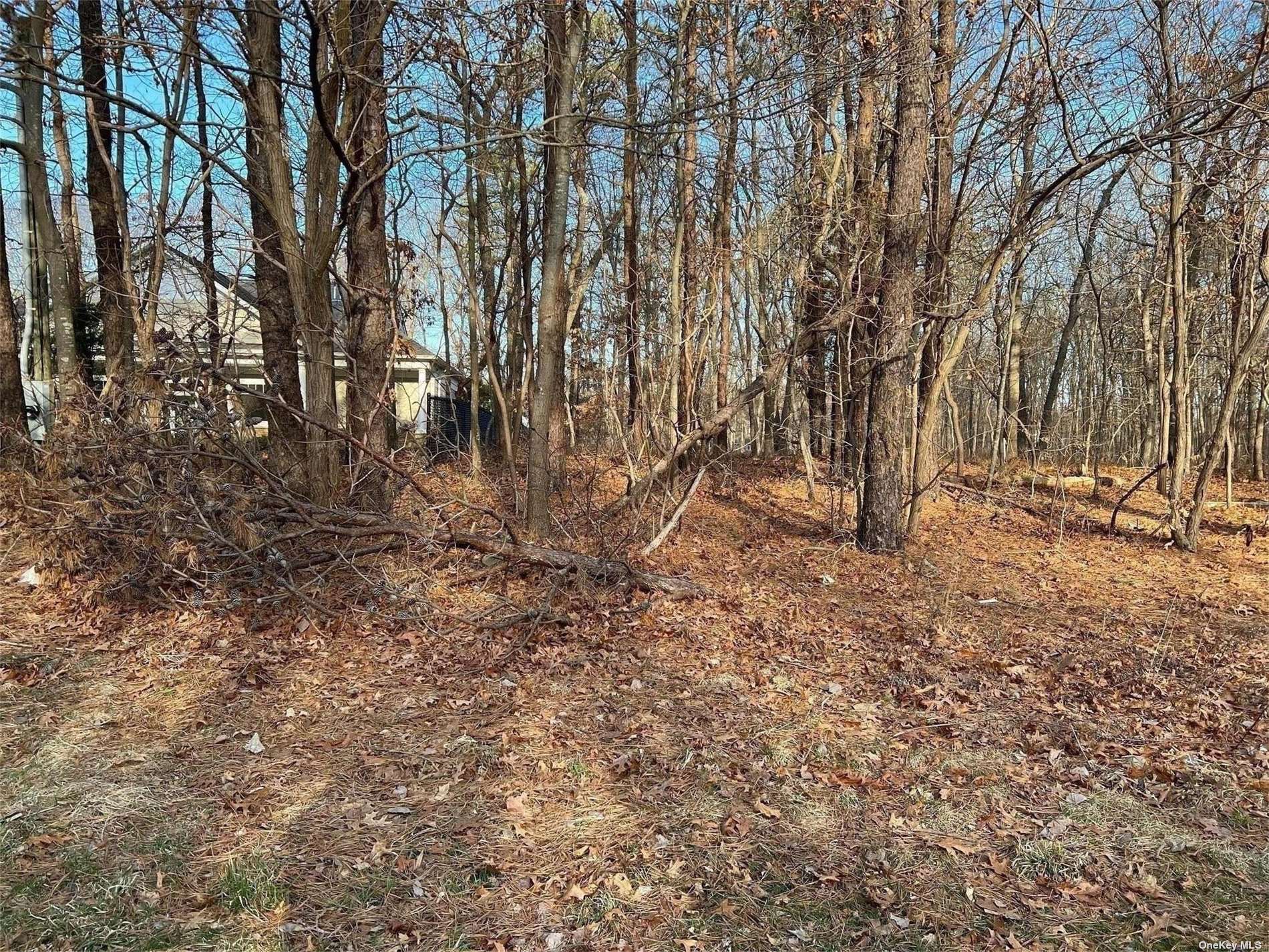 a view of outdoor space and a yard