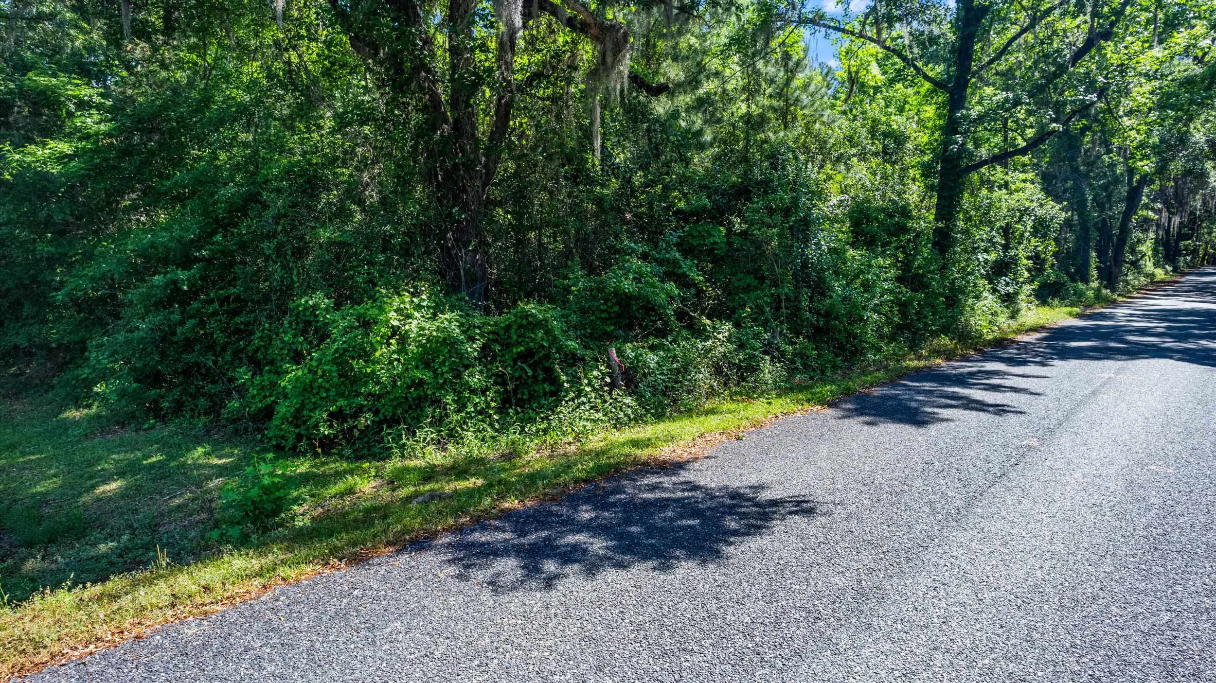 14008 Godbold Road Tallahassee, FL 32309 - Photo 11 of 22