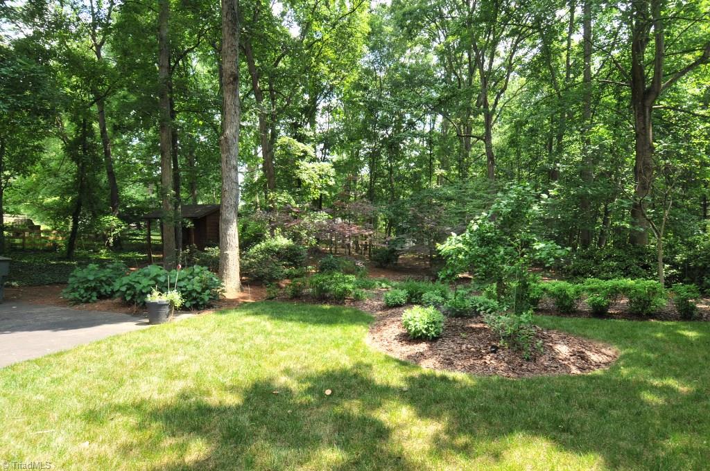 3330 Nottingham Road Winston-Salem, NC 27104 - Photo 22 of 23 Large, lush backyard