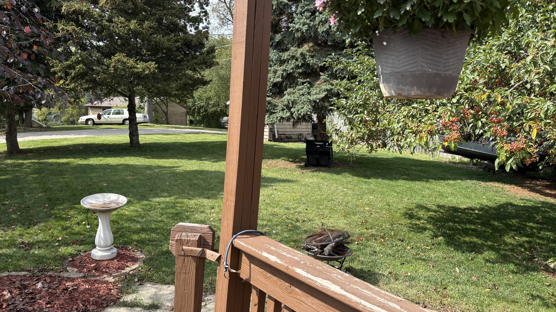 38408 North Primrose Path Spring Grove, IL 60081 - Photo 6 of 11 a view of a garden with plants