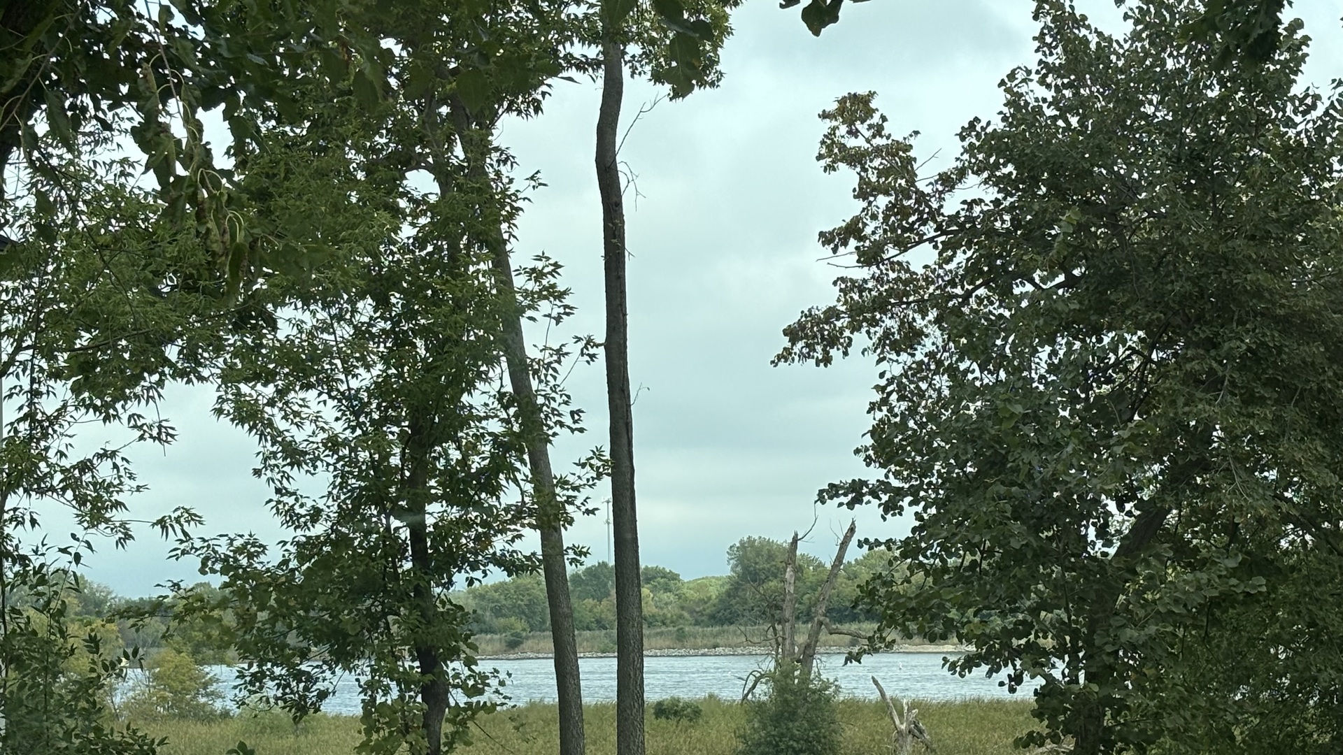 38408 North Primrose Path Spring Grove, IL 60081 - Photo 8 of 11 a view of lake