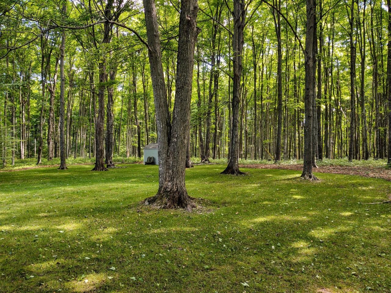 3159 Shaff Road Gaylord, MI 49735 - Photo 29 of 32 Gallery Image 29