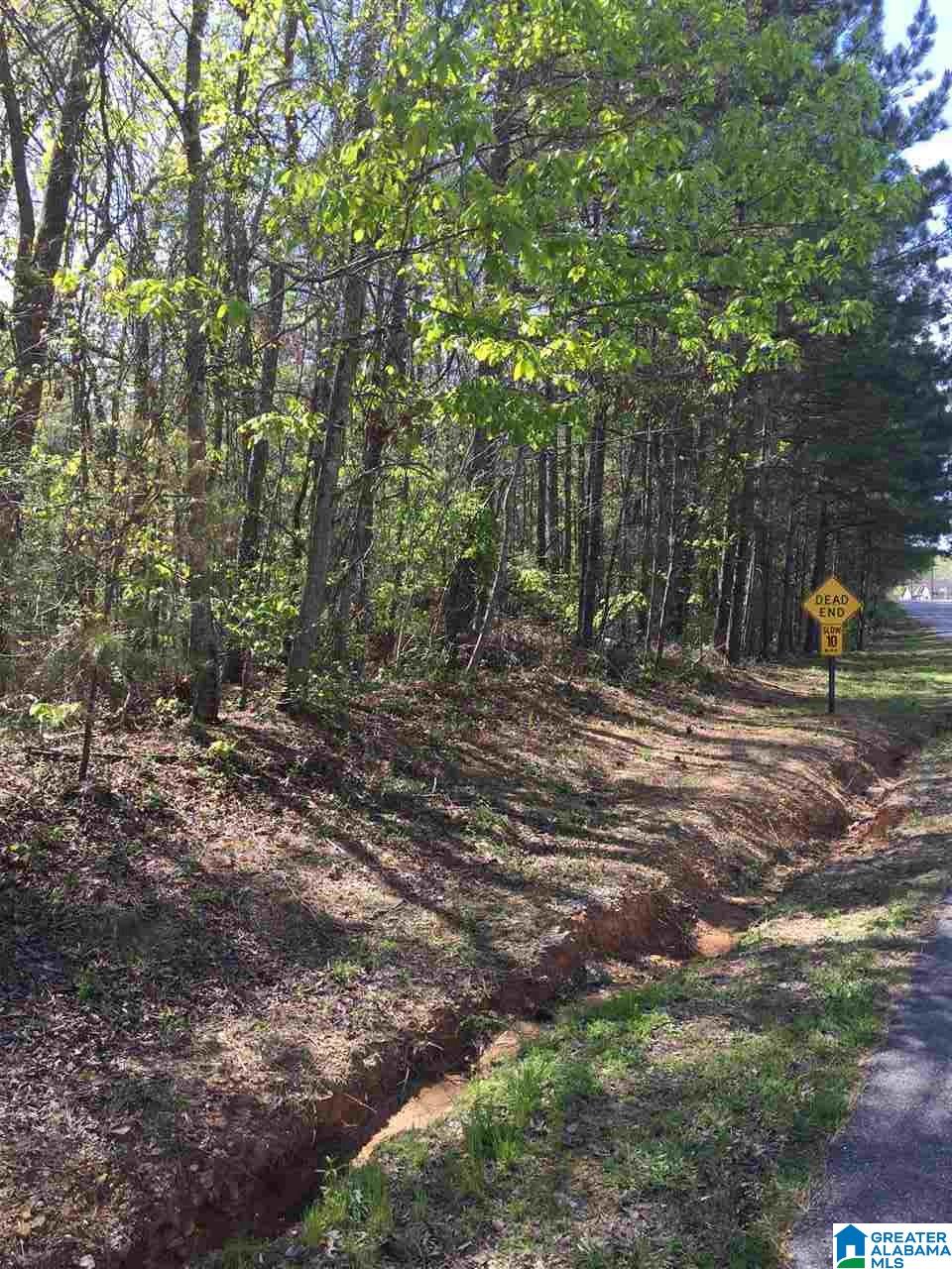 1331 Cedar Creek Road, Unit 4 ACRES Odenville, AL 35120 - Photo 7 of 20