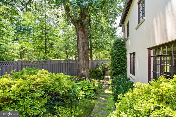 a view of a backyard with plants and large trees