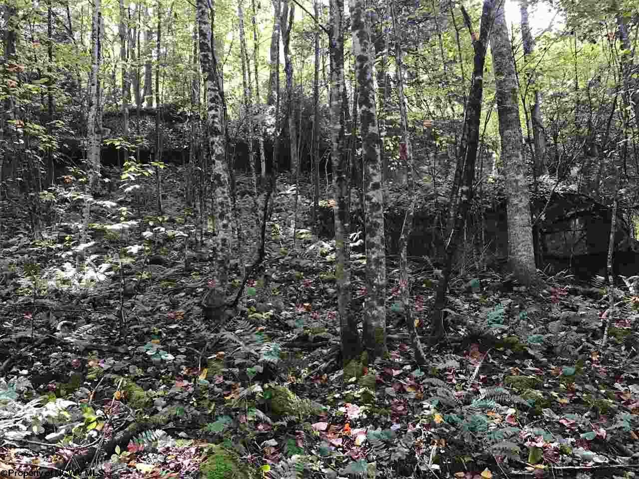 5 Nile Road Summersville, WV 26651 - Photo 3 of 7 Gallery Image 3