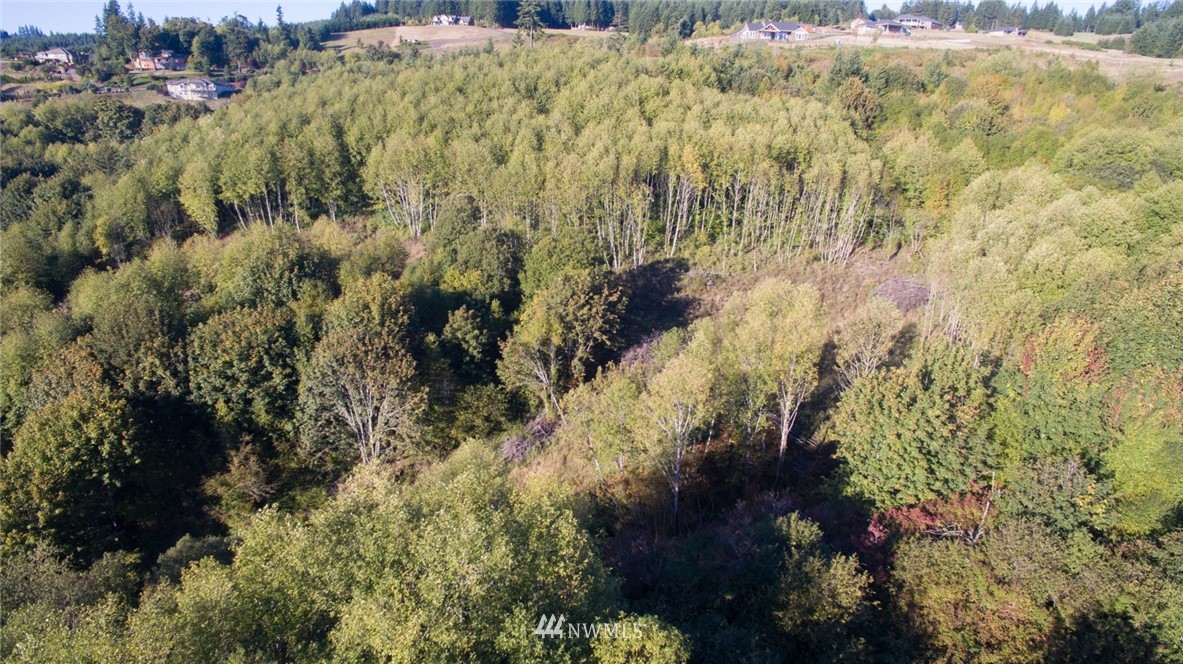 0 Burke Road Woodland, WA 98674 - Photo 14 of 16 Gallery Image 14