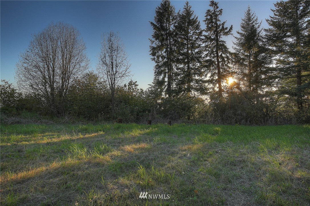 0 Burke Road Woodland, WA 98674 - Photo 8 of 16 Gallery Image 8