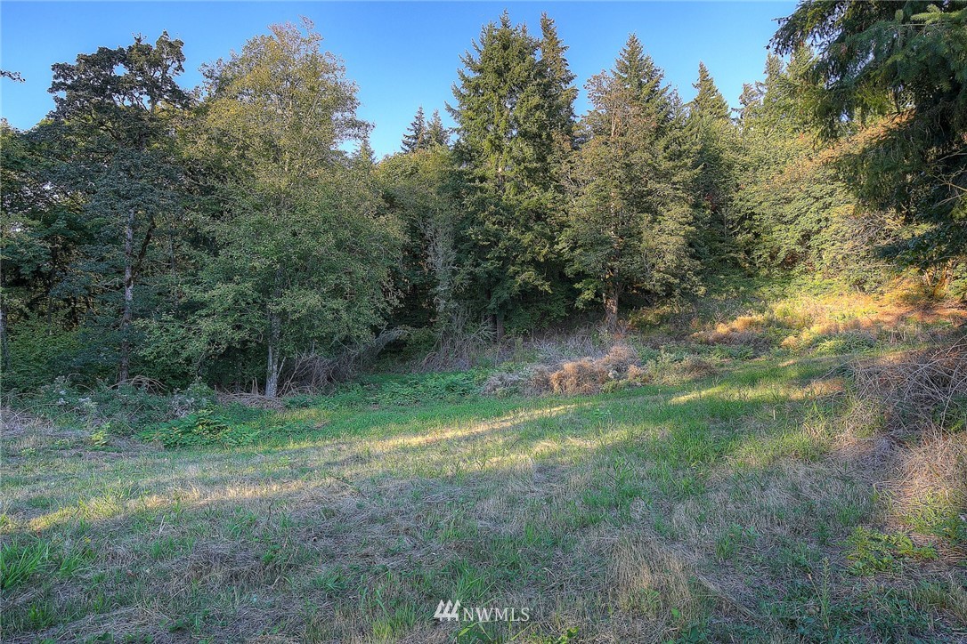 0 Burke Road Woodland, WA 98674 - Photo 9 of 16 Gallery Image 9