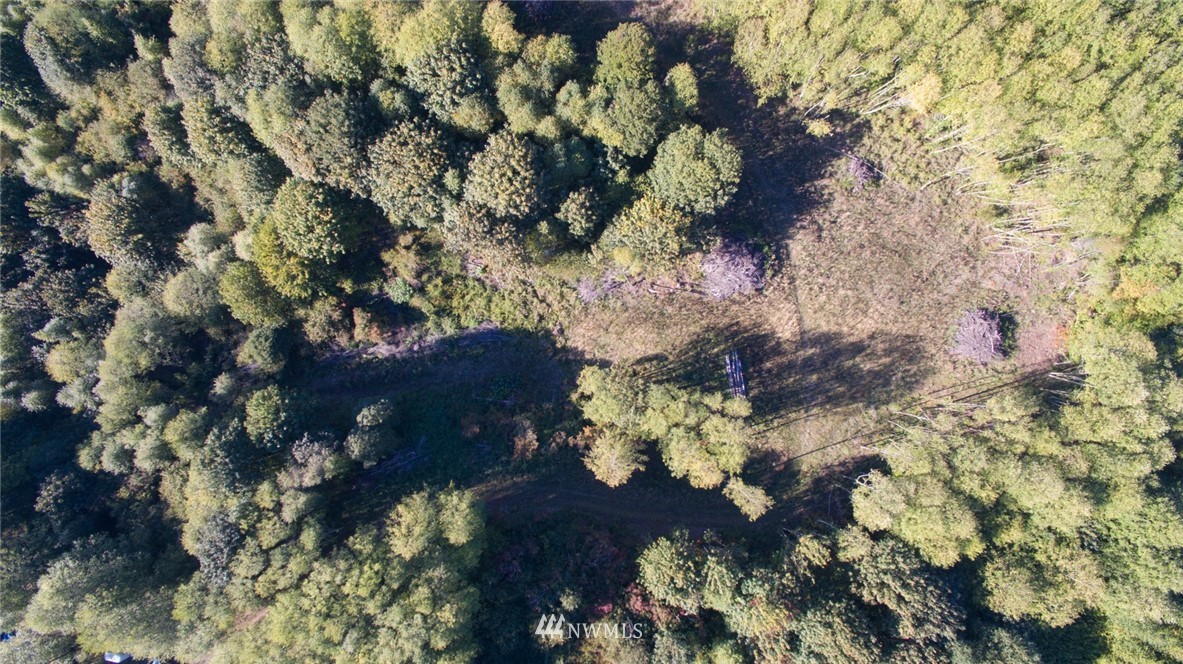 0 Burke Road Woodland, WA 98674 - Photo 10 of 16 Gallery Image 10
