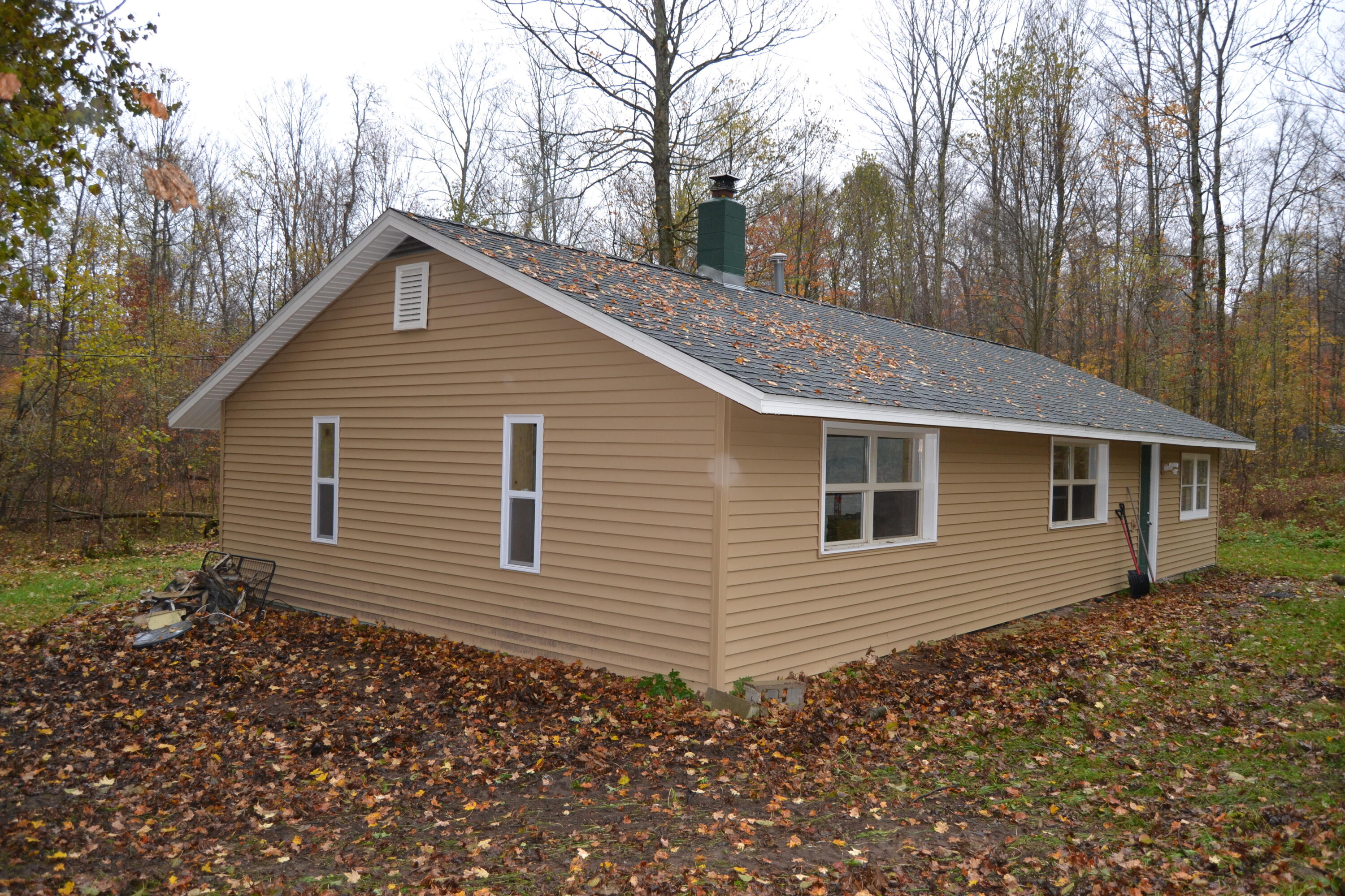 6530 North Coe Road Luther, MI 49656 - Photo 13 of 18 DSC_0933