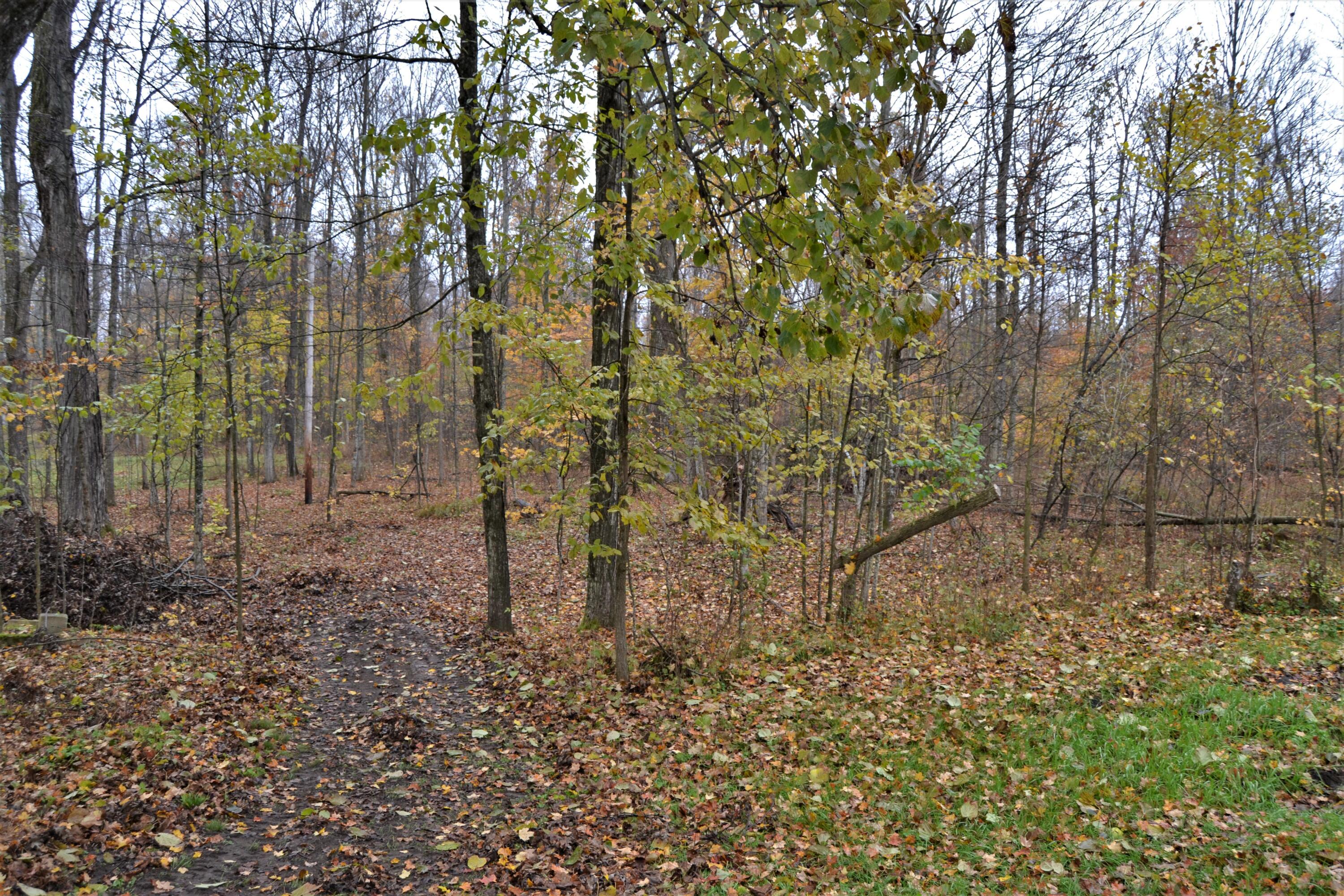 6530 North Coe Road Luther, MI 49656 - Photo 15 of 18 DSC_0937