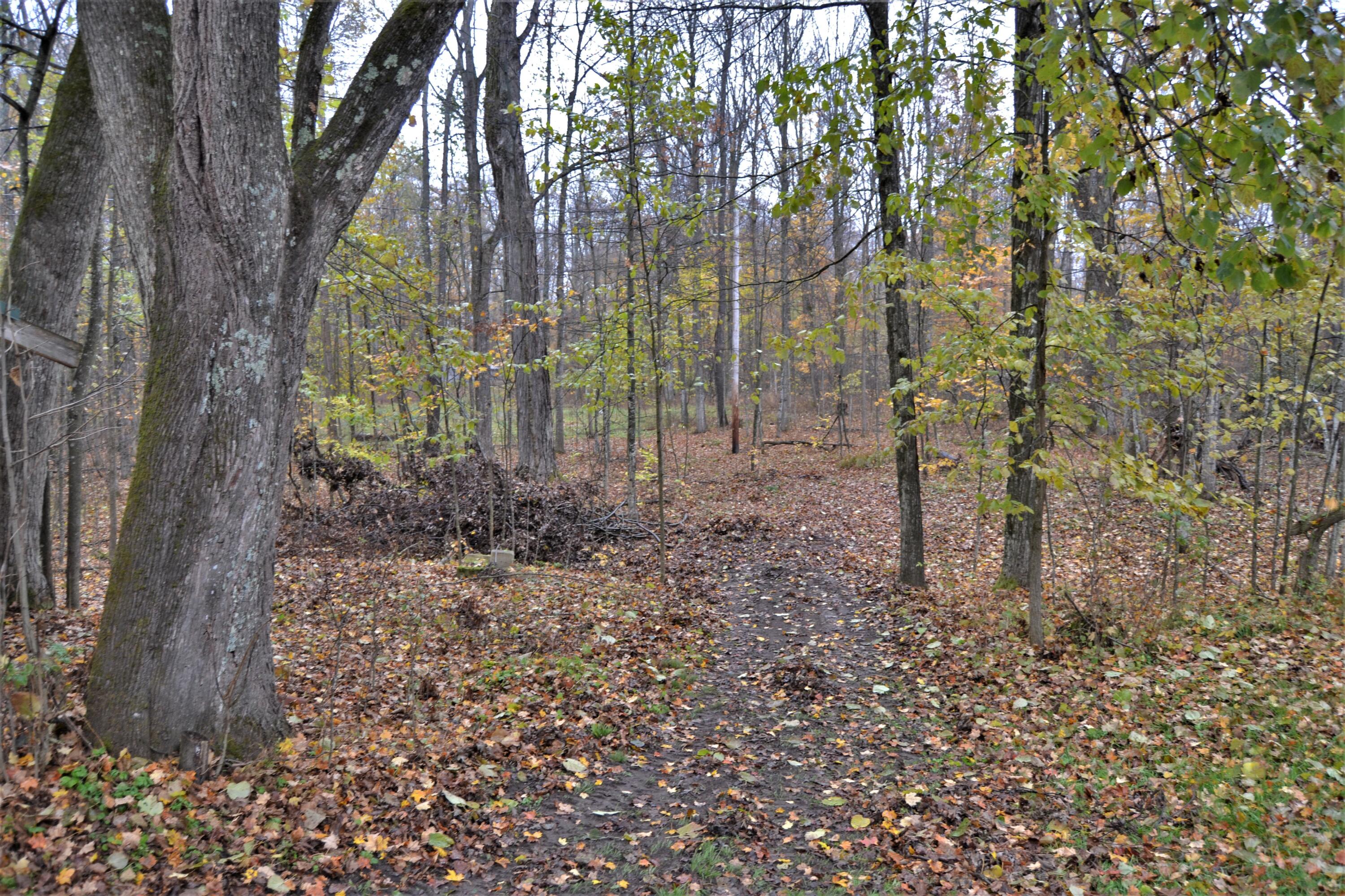 6530 North Coe Road Luther, MI 49656 - Photo 16 of 18 DSC_0938