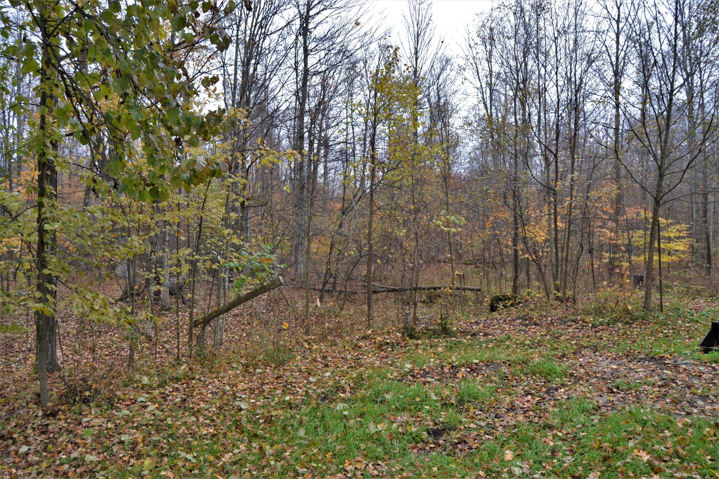 6530 North Coe Road Luther, MI 49656 - Photo 17 of 18 DSC_0939