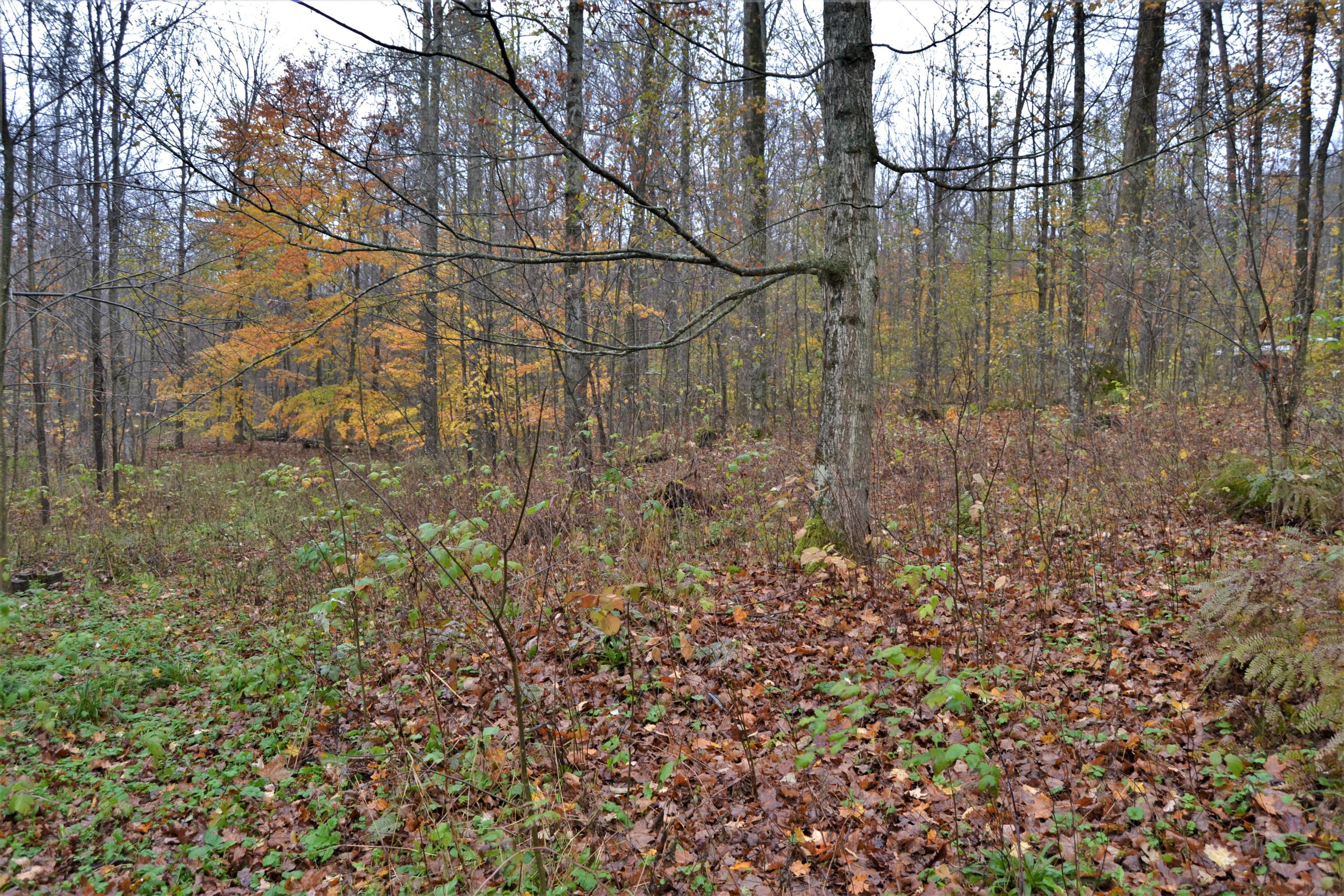 6530 North Coe Road Luther, MI 49656 - Photo 18 of 18 DSC_0930