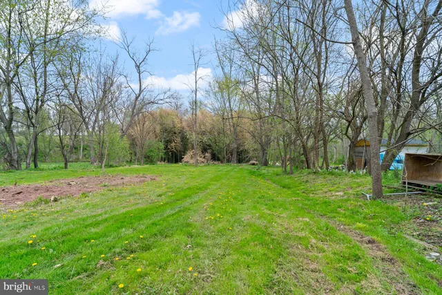 a view of backyard with large trees