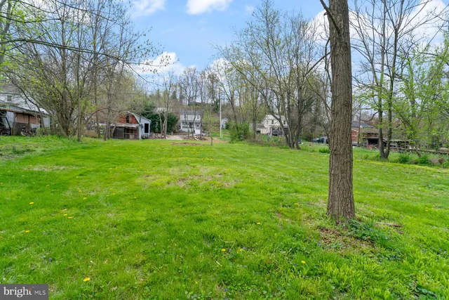 a view of a park that has large trees