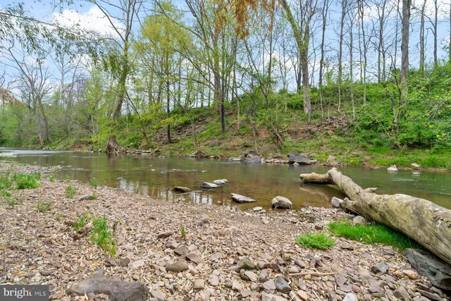 a body of water with a tree in the background