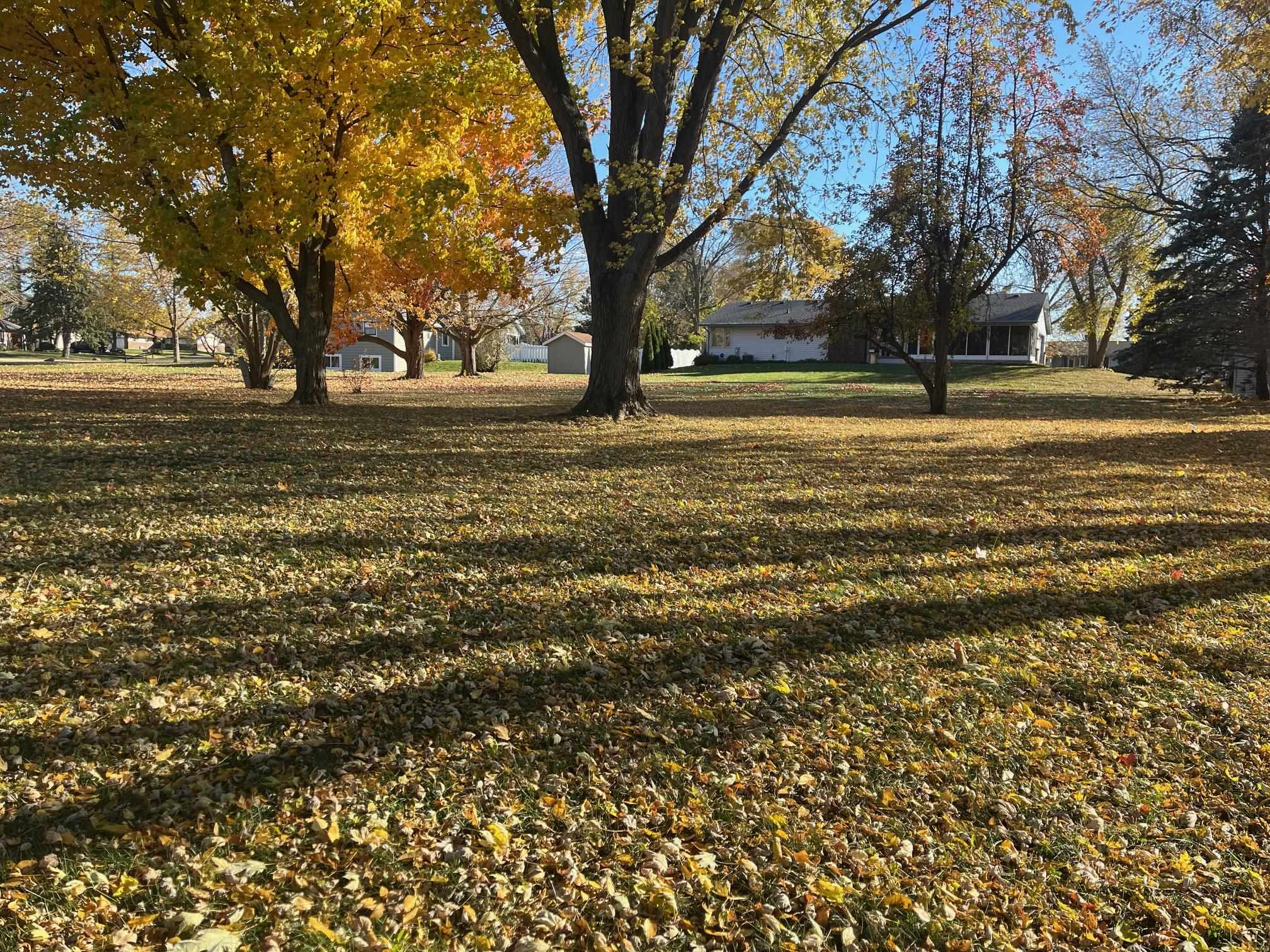 3606 Springwheat Street Rockford, IL 61114 - Photo 38 of 41 a view of outdoor space with deck and trees