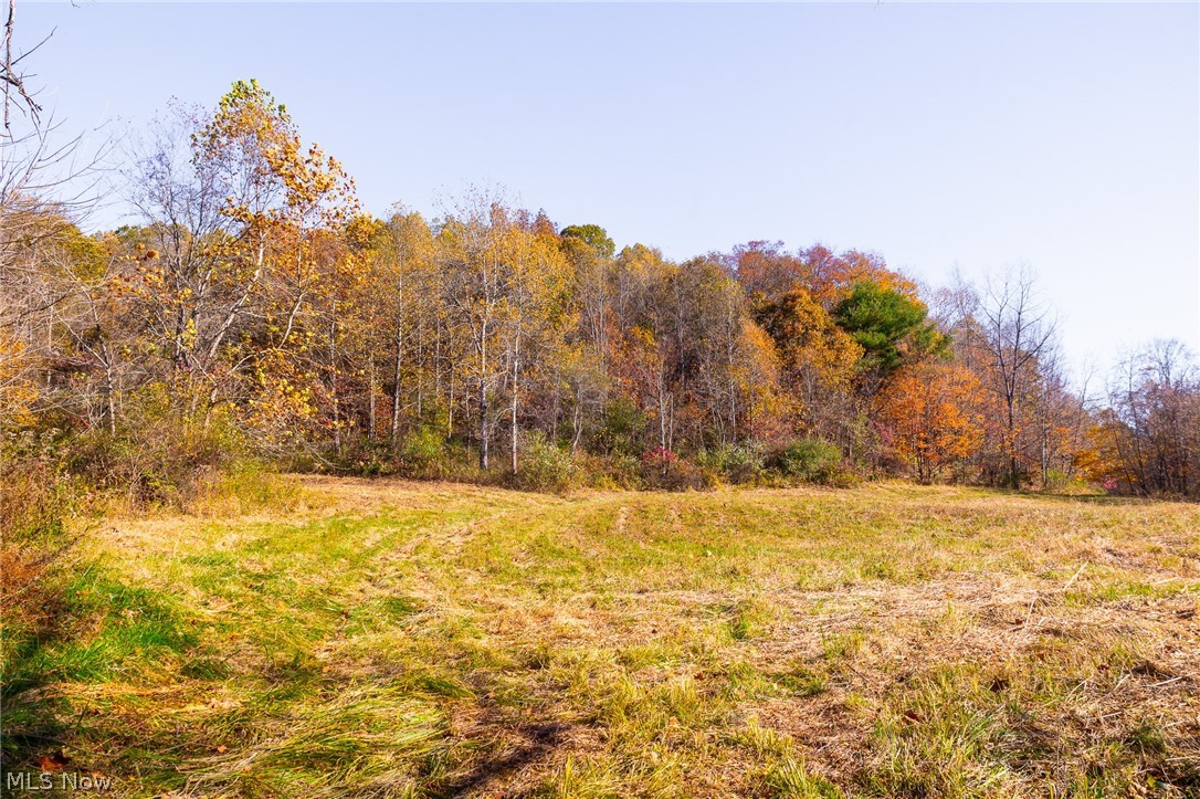 Plum Road Kimbolton, OH 43749 - Photo 28 of 50 View of tree filled area